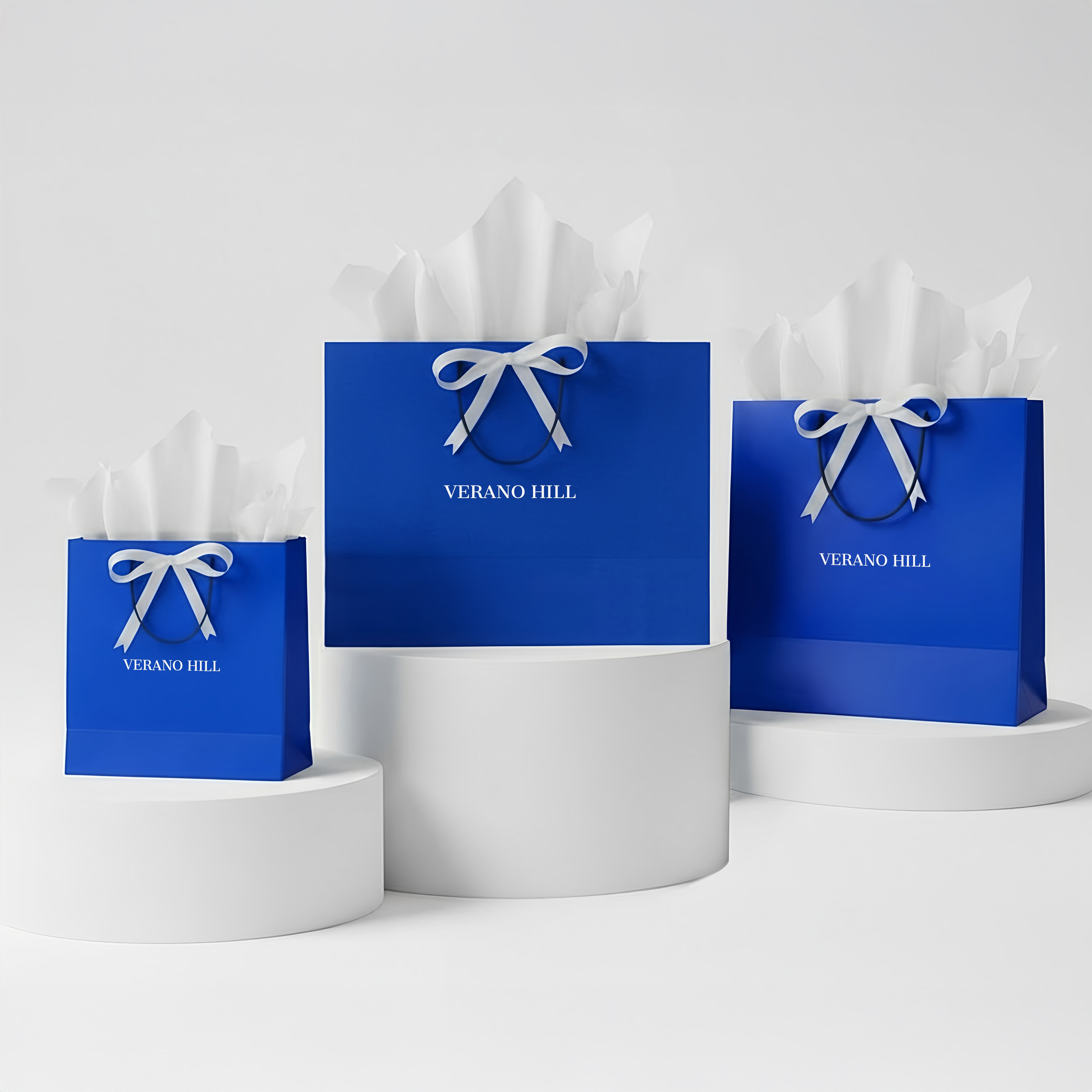 Gift Bag (Fitted For Your Order)